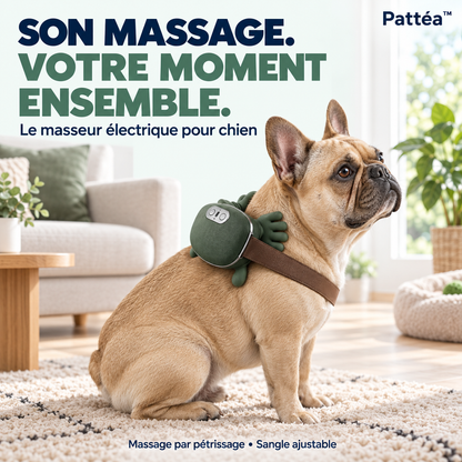 Pattéa™