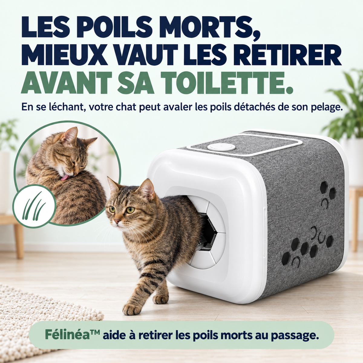 Félinéa™
