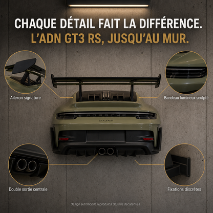 AeroVault™ GT3 RS